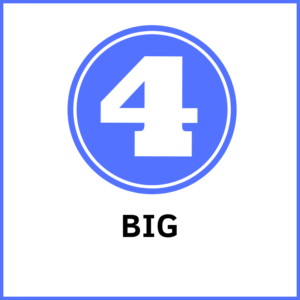 go big on your purpose