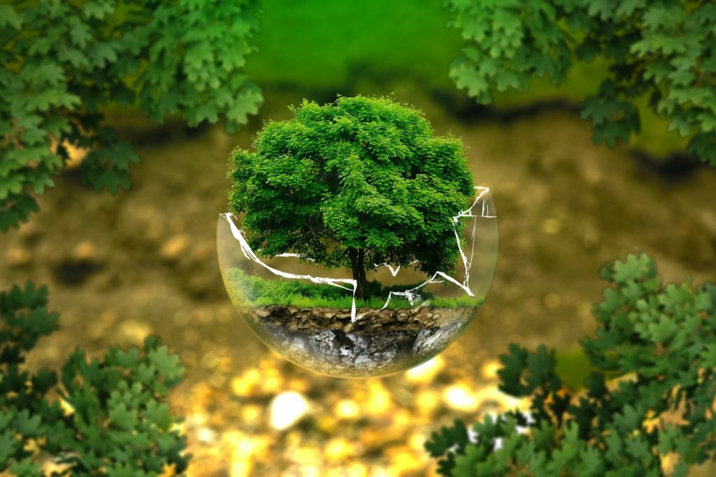 change your environment not yourself to figure out who you are